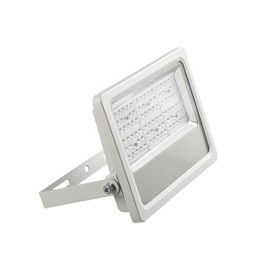 SCHIJNWERPER PRO ASY 80W -...