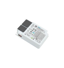 DRIVER - CC450/1100mA -...